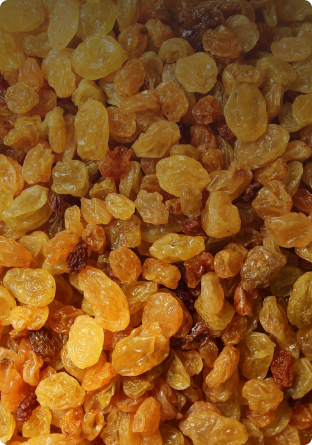 Sultan Agro Impeks