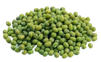 Sultan Agro Impeks