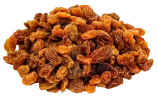 Sultan Agro Impeks