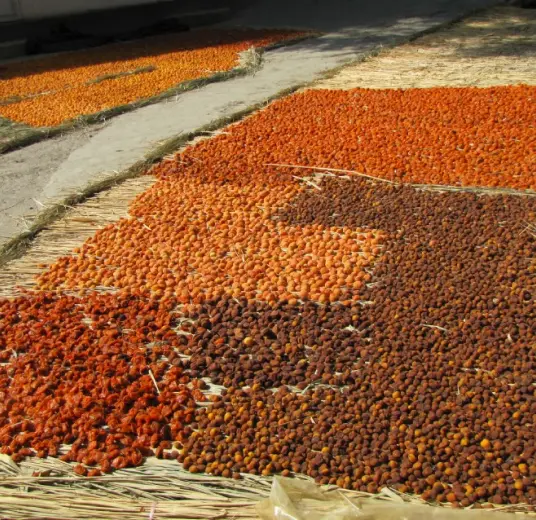 Sultan Agro Impeks