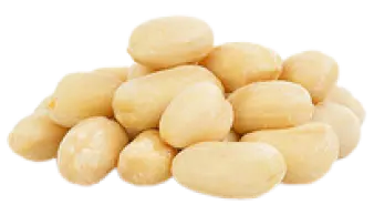 Sultan Agro Impeks