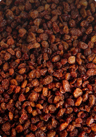 Sultan Agro Impeks